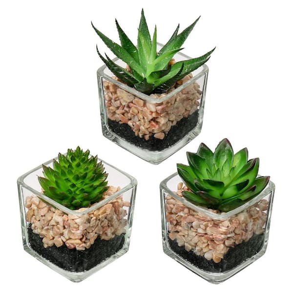 Unbranded 3.5 in. H Green Indoor Succulent Artificial Plant in Glass Pots for Home Office Table Desk Shelf Room Decor (Set of 3)