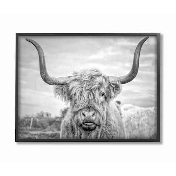 Stupell Industries 11 in. x 14 in. "Black and White Highland Cow Photograph" by Joe Reynolds Printed Framed Wall Art