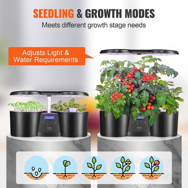 Buy Hydroponics Growing System 12 Pods Indoor Garden With 36W LED Grow Light, Height Adjustable Indoor Grow Kit Countertop Garden Automatic Timer Black