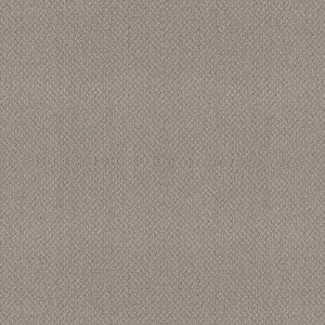 Tower Road - Frozen Pond - Gray 32.7 oz. SD Polyester Loop Installed Carpet