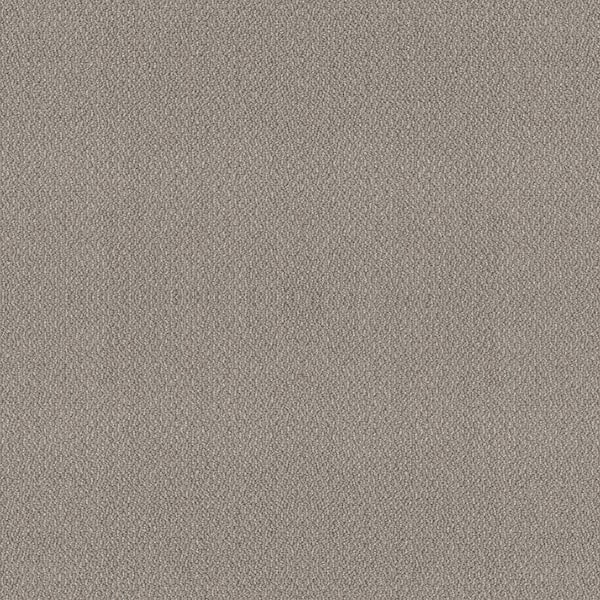 Home Decorators Collection Tower Road - Frozen Pond - Gray 32.7 oz. SD Polyester Loop Installed Carpet