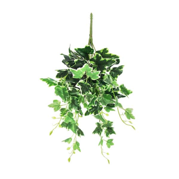 Living Luxury Artificial Variegated English Ivy Leaf Vine Hanging Plant Greenery Foliage Bush 24in - 24 inch L x 12 inch W x 6 inch Dp, Size: 24 Large