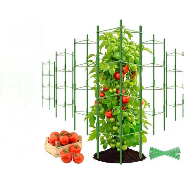 Hcman 63 in. Plastic Garden Stakes Tomato Cage, Tomato Cages Plant