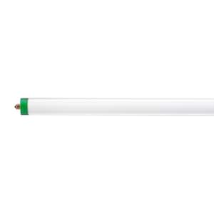 59-Watt 8 ft. Alto T8 Fluorescent Tube Light Bulb, Cool White (4100K)