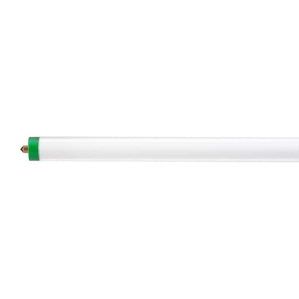 Philips 59-Watt 8 ft. Alto T8 Fluorescent Tube Light Bulb, Cool White (4100K)