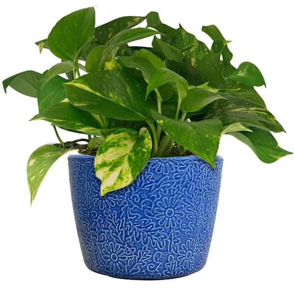 Lillian Medium Blue Ceramic Indoor Planter with Drainage Holes (10 in. L x 10 in. W x 7.7 in. H)