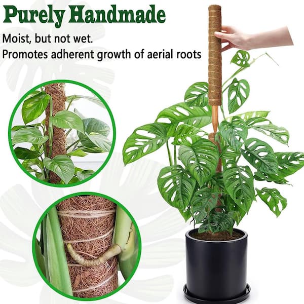 Angel Sar 18 in. Stackable Moss Poles for Climbing Plants