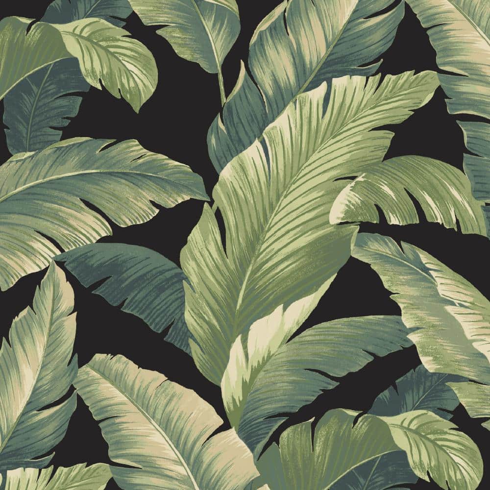 Onyx Cebu Outdoor Wicker Chair Cushions, 2-Pack, Green Leaf Print