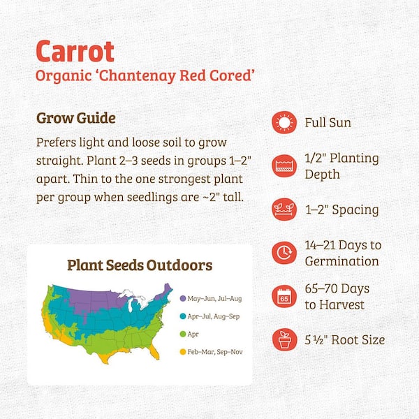 Back to the Roots Organic Chantenay Red Cored Carrot Seed (1-Pack
