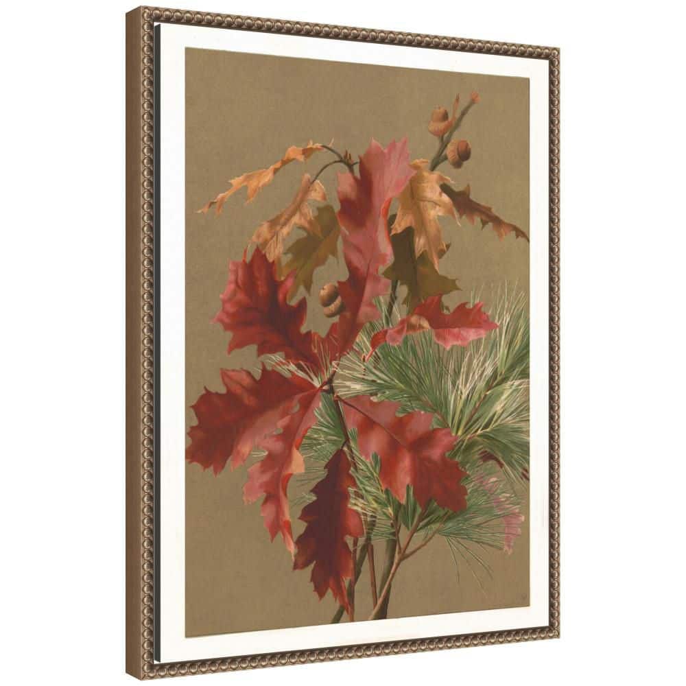 "Sylvie ""Autumn Leaves Ellen Fisher"" by Nostalgia Prints Nature Framed Canvas Art Print 24 in. x 18 in." price history on PriceWatchPro
