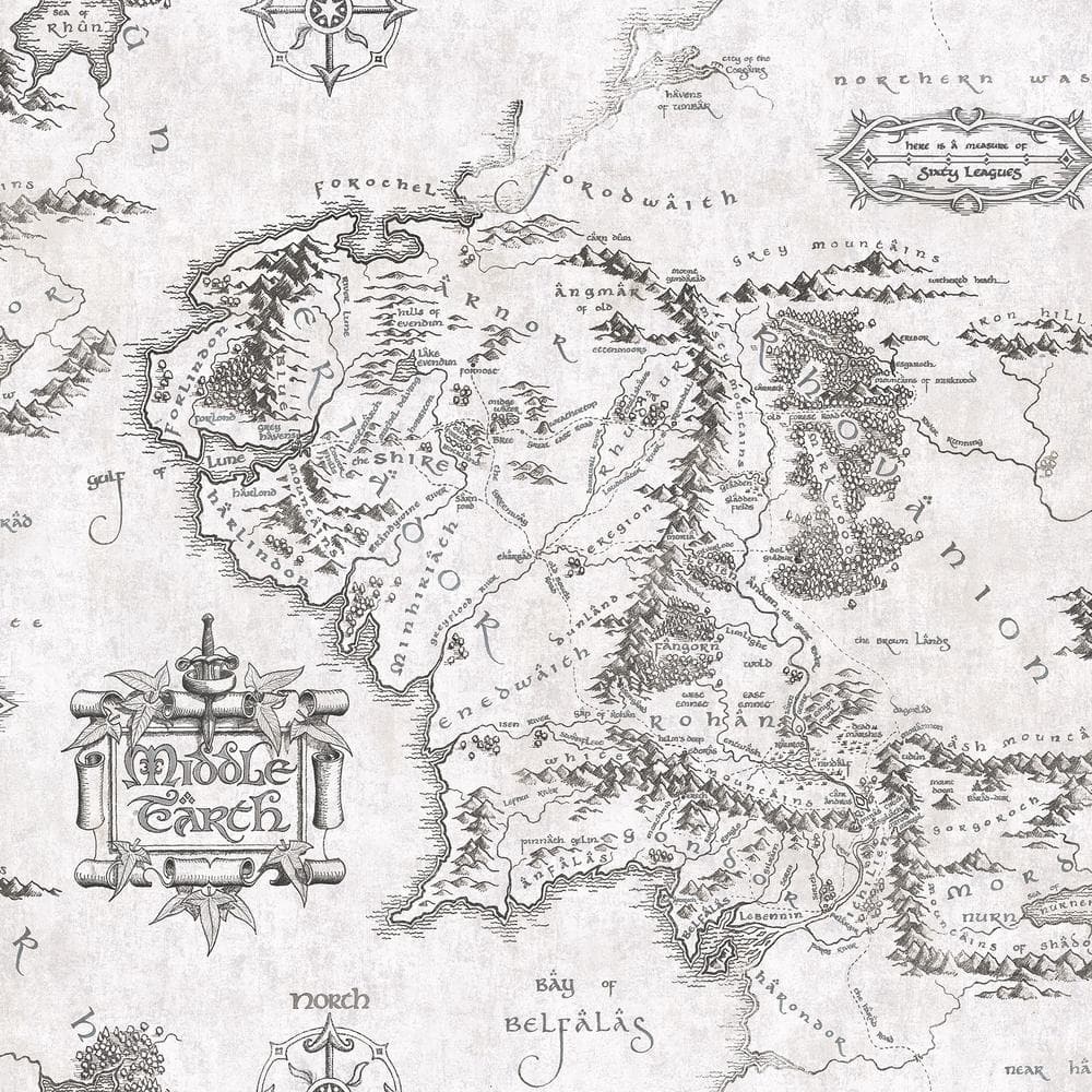 Warner Bros' Black and White Lord of the Rings Middle Earth Map Peel and Stick Wallpaper price history on PriceWatchPro