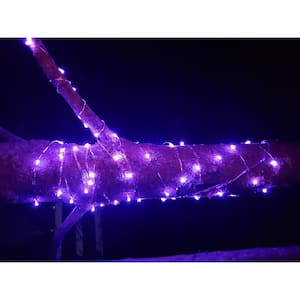 Hunnykome Outdoor 20 ft. Solar Micro LED String Light with 100 Purple LEDs (4-Pack)