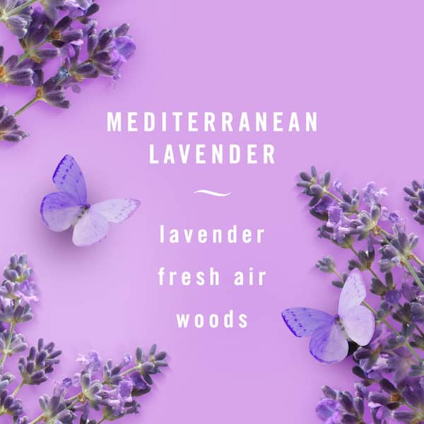 Mediterranean Lavender