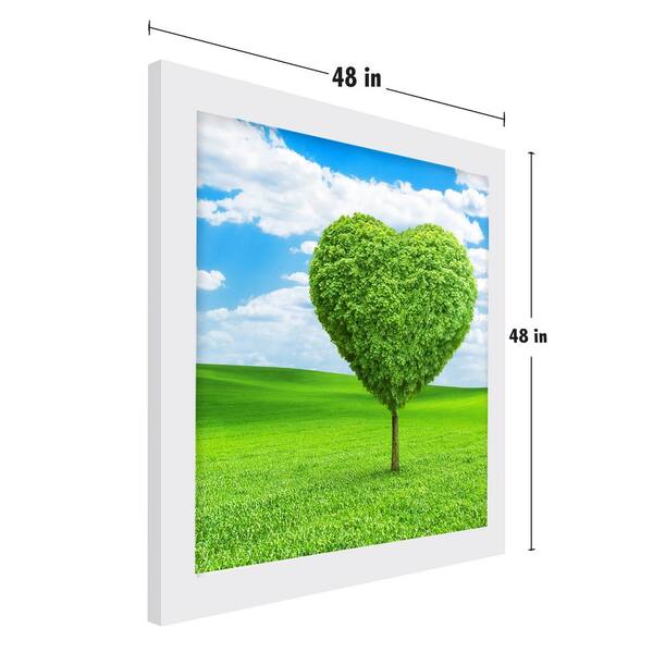 Green on Coral Coast - 6 Piece Shadowbox Frame Gallery Wall Art Set