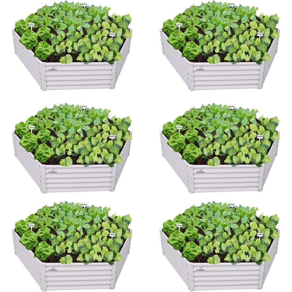 6-Piece Outdoor White Hexagon Galvanized Raised Garden Beds, 70 x 60 x 18 i