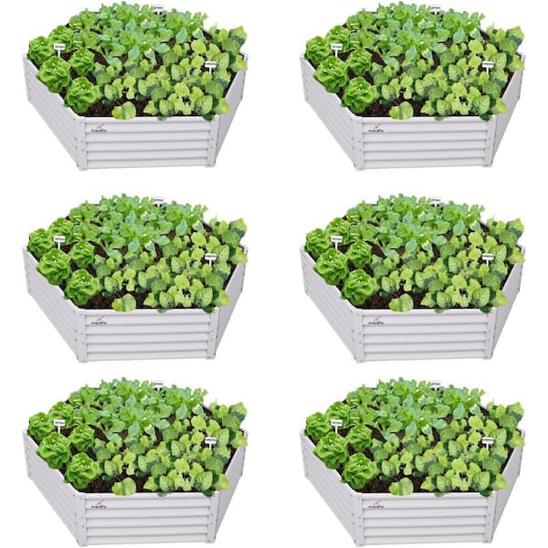 6-Piece Outdoor White Hexagon Galvanized Raised Garden Beds, 70 x 60 x 18 in Metal Planter Box