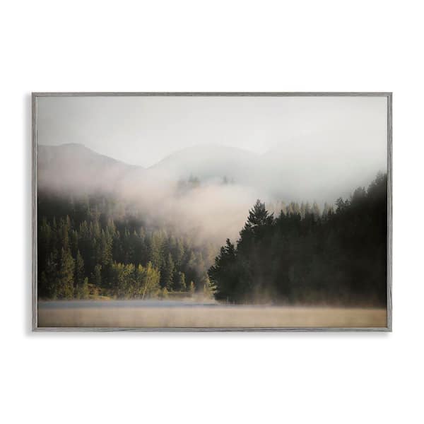 Stupell Industries Rolling Fog Woodland View by Carol Robinson Gray Framed Nature Giclee Art Print 16 in. x 24 in.