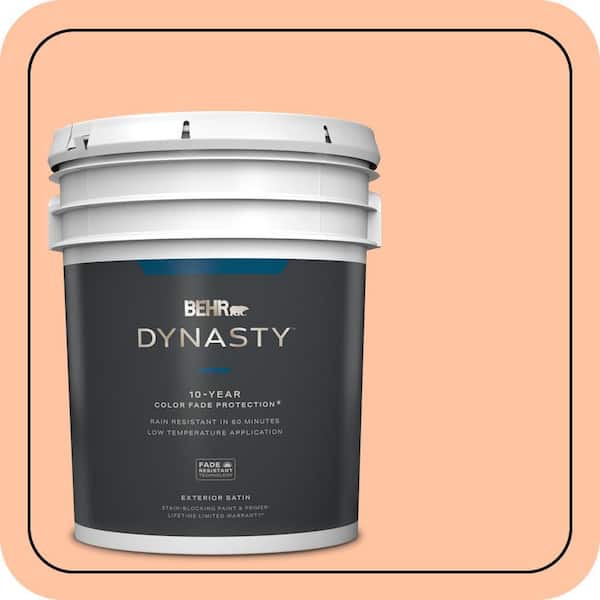 BEHR DYNASTY 5 gal. #P200-3 Tomorrows Coral Satin Enamel Exterior Stain-Blocking Paint & Primer