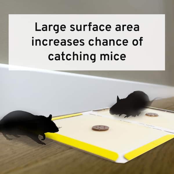 Pro Series Multi-Catch Mouse Trap & Glue Board Traps 6 Count