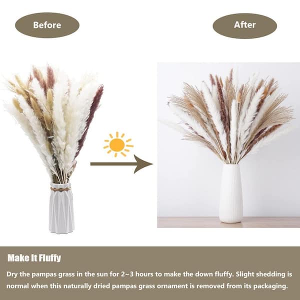 Bran 30 Pcs Pampas Natural Grass Reed Plume Dried Flowers Phragmites  Bouquet Tall Real Touch Natural Plumes For Farmhouse Office Bedroom Wedding  Rusti