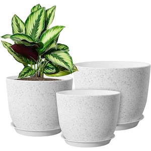 Modern 10 in. L x 10 in. W x 7.5 in. H White Speckles Plastic Round Indoor Planter (3-Pack)