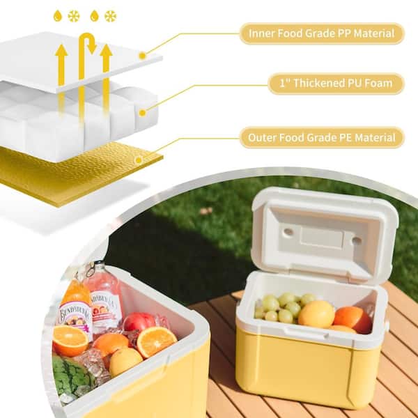 5.3 QT Hard Cooler, Insulated Ice Chest Box, Portable Ice
