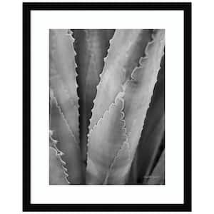 "Abstract Agave I" by Elizabeth Urquhart 1 Piece Wood Framed Black and White Nature Photography Wall Art 21-in. x 17-in.