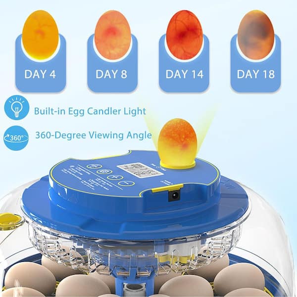 KIWDZFU Egg Incubator with Auto Turning Humidity Control 360° View
