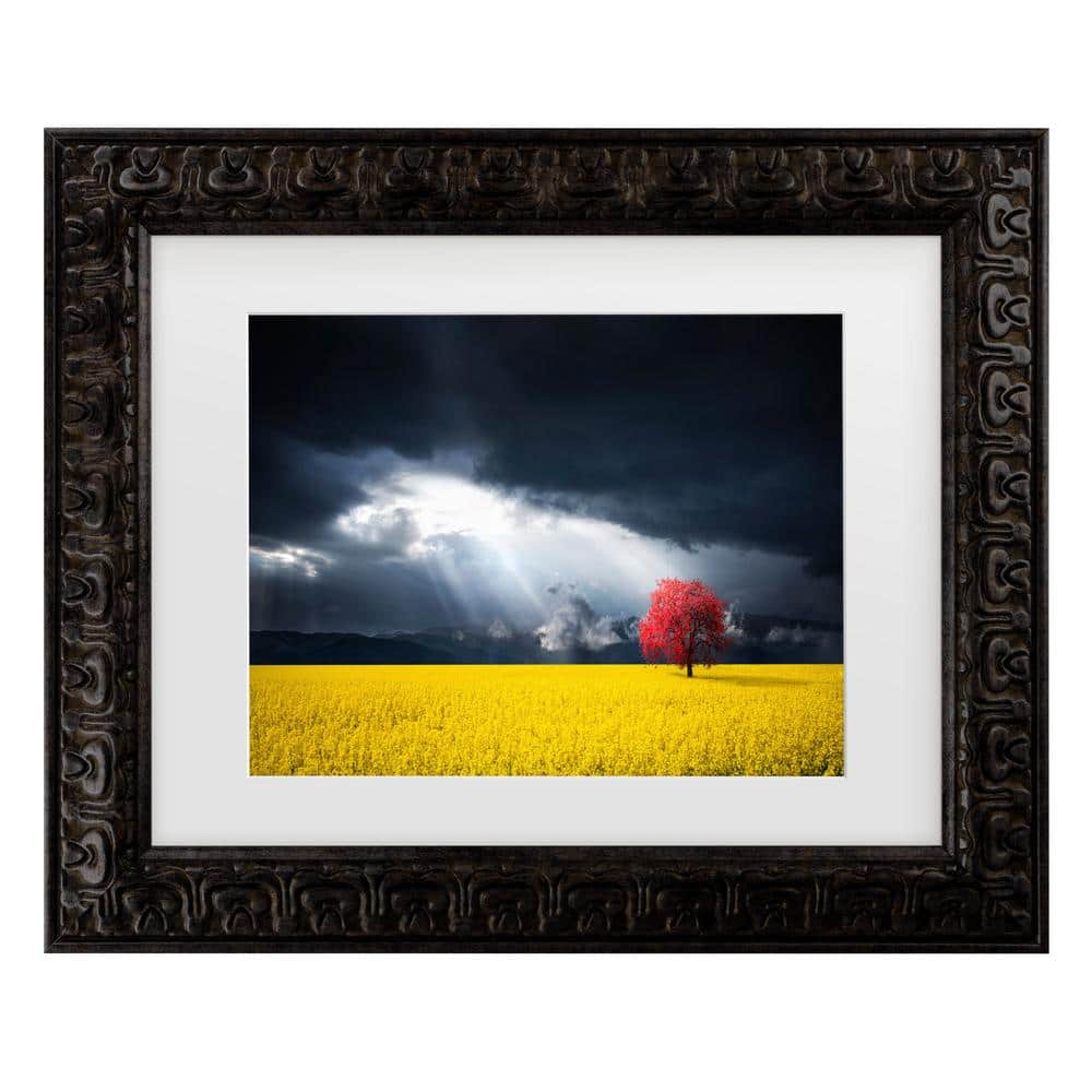 Bess Hamiti a Red Tree in the Canola Meadow Matted Framed Photography Wall Art 14.5 in. x 17.5 in. price history on PriceWatchPro