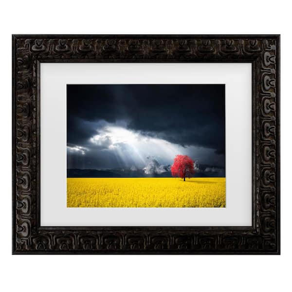 Trademark Fine Art Bess Hamiti a Red Tree in the Canola Meadow Matted Framed Photography Wall Art 14.5 in. x 17.5 in.