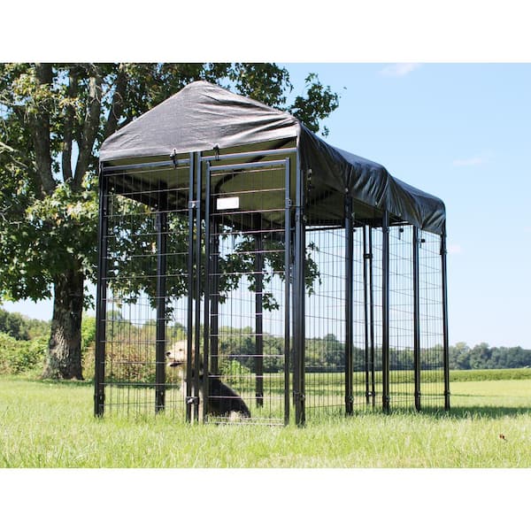 Fencemaster store dog kennel