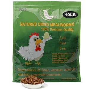 10 lbs. Non-GMO Dried Mealworms for Wild Bird Chicken Fish, High-Protein, Large Meal Worms