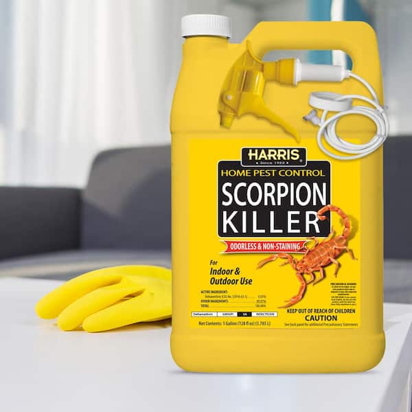 Harris 1 Gal. Scorpion Killer HSC-128 - The Home Depot