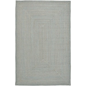 Braided Multi 4 ft. x 6 ft. Solid Interlaced Border Area Rug