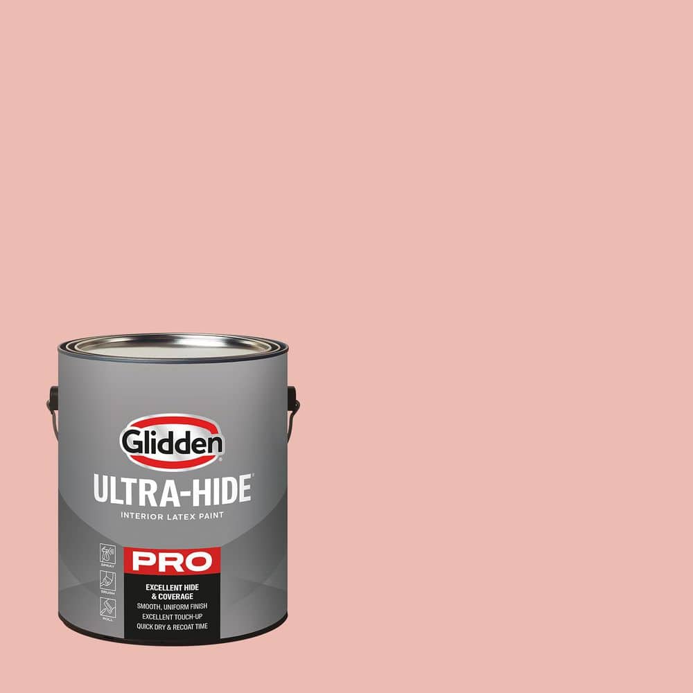 1 gal. PPG1064-4 Peach Beige Semi-Gloss Interior Paint price history on PriceWatchPro