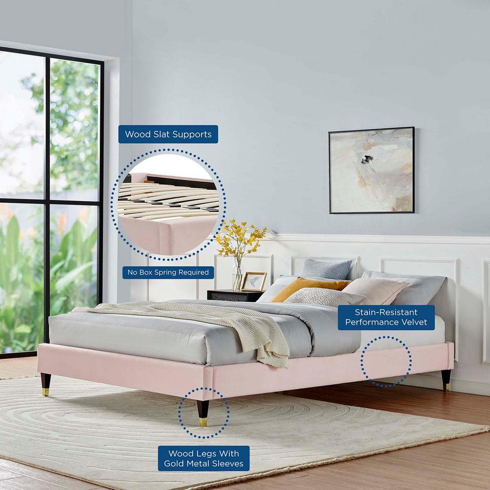 Harlow Glam Deco Pink Velvet King Platform Bed with Gold Accents