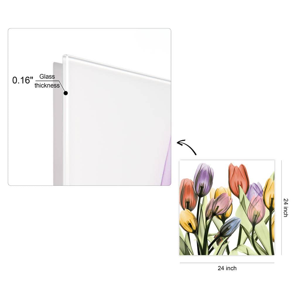 Tulip Scape X-Ray I Colorful Glass Wall Art, 24"