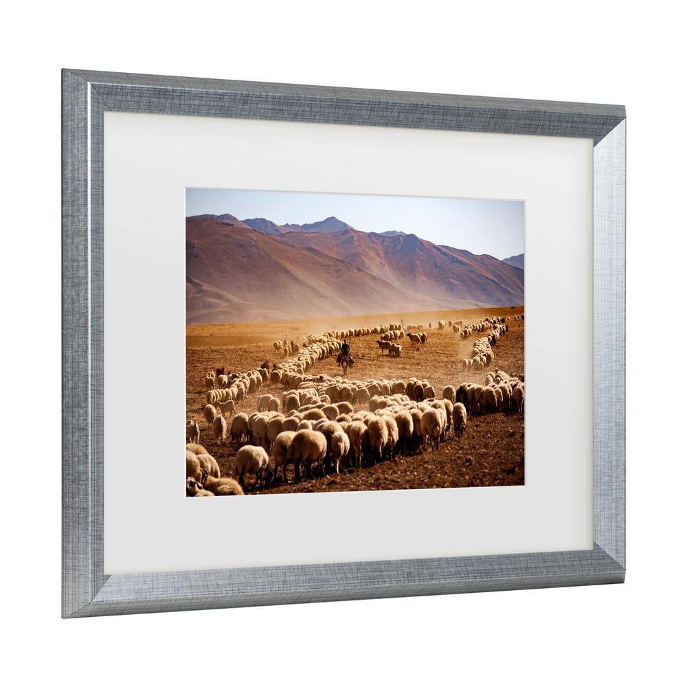 Murat Cacim Silver Framed Desert Sheep Canvas Print