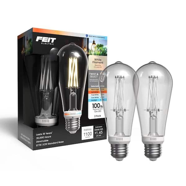 100-Watt Equiv ST19 Filament Clear Glass E26 Vintage Edison Straight Tapered Twist Select LED Light Bulb 5CCT (2-Pack)