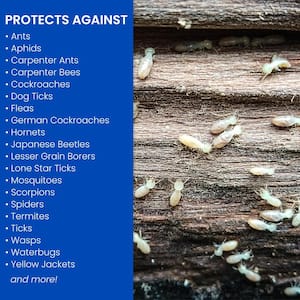 BugMD - Pest Control Essential Oil Concentrate 3.7 oz - Plant Powered Bug Spray, Kills Bugs Spiders Fleas Ticks Roaches, Ant Spray Indoor, Ant Killer