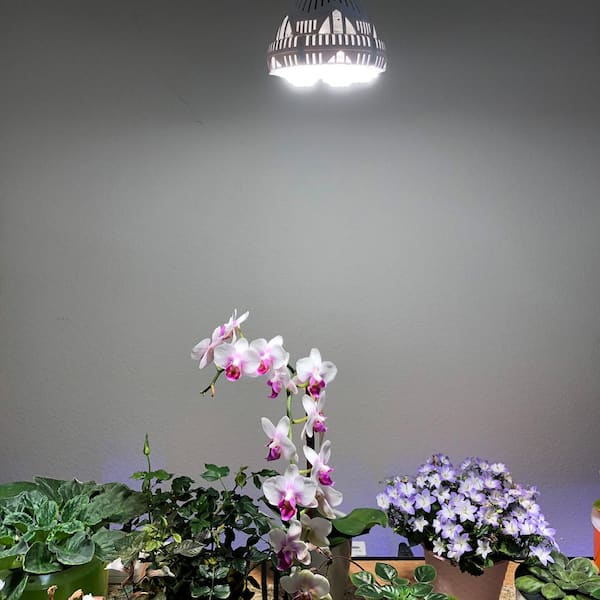 SANSI 36 Watt BR30 E26 Full Spectrum Specialty LED Grow Light Bulb