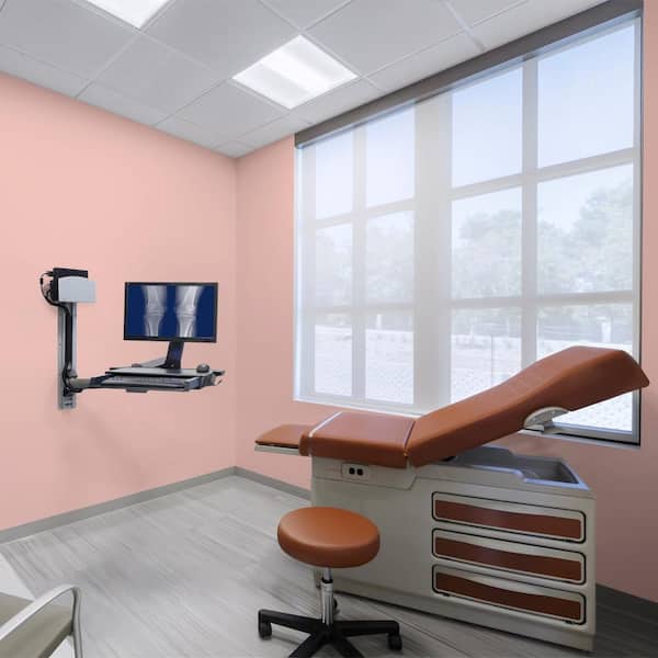 1 gal. #S160-2 Pink Quartz Dead Flat Interior Paint