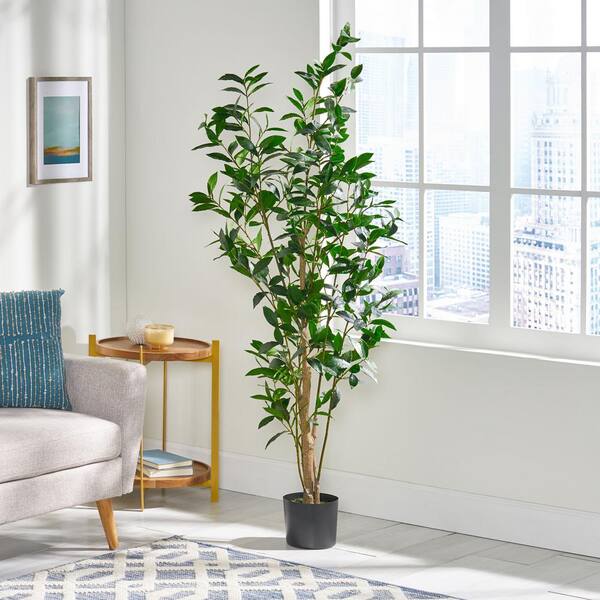 Noble House Bolivar 5.5 ft. Green Artificial Laurel Tree 84006