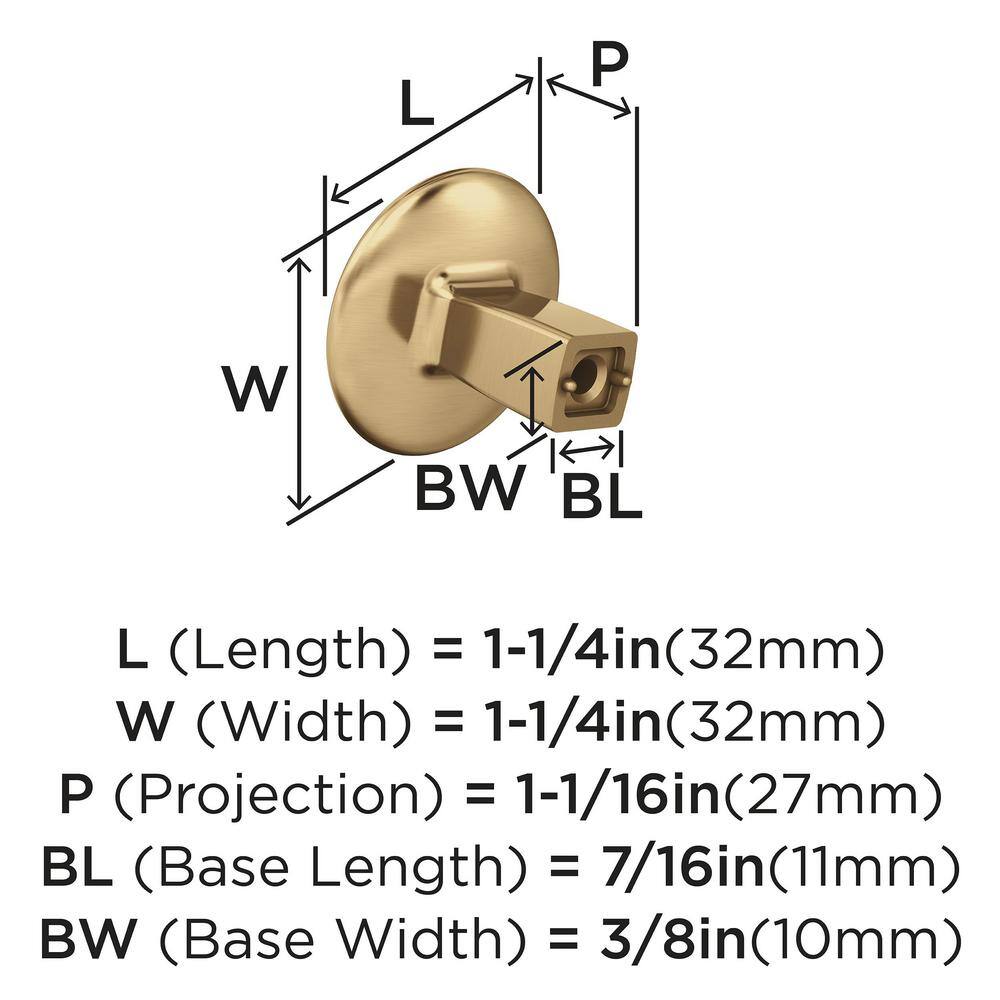 Champagne Bronze Oval Cabinet Knob with Mounting Hardware