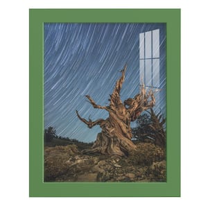 Modern 8 in. x 10 in. Green Picture Frame
