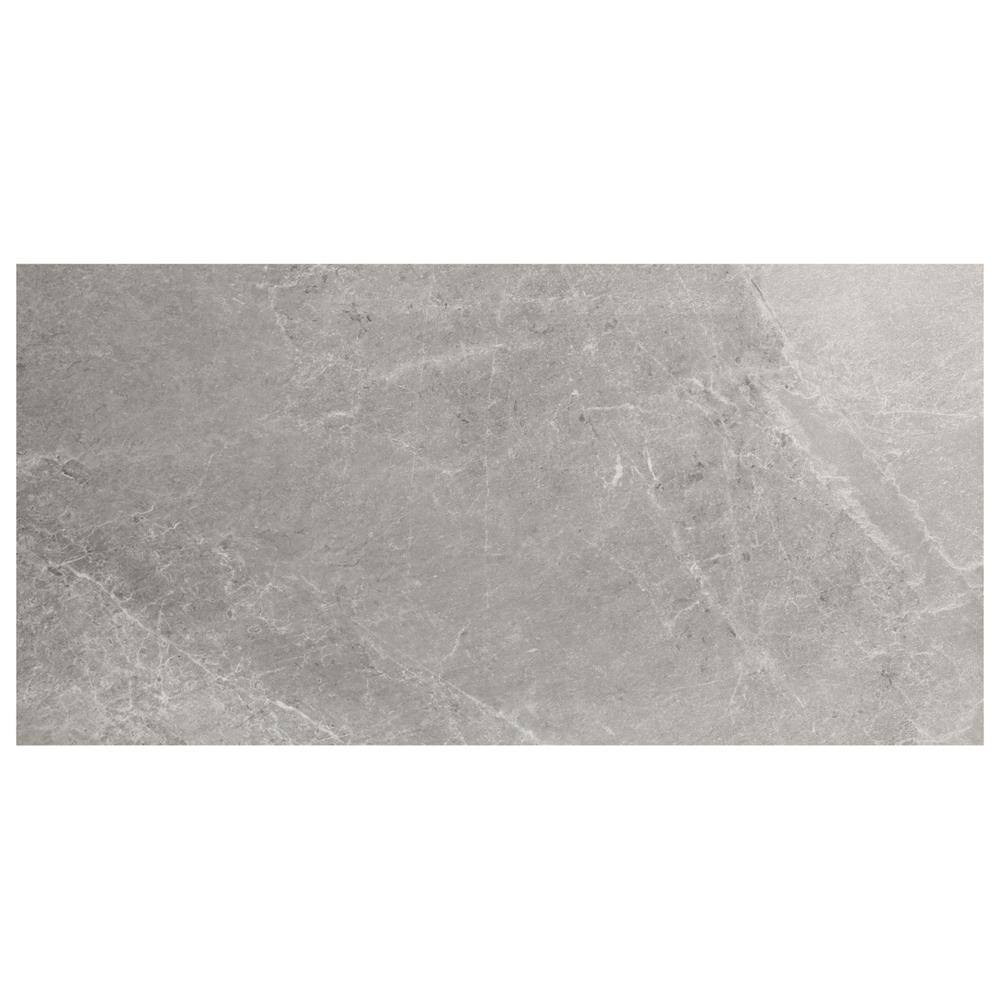 LithoTech Silver Gray 6 in. x 0.78 in. Matte Porcelain Floor Paver Tile Sample price history on PriceWatchPro