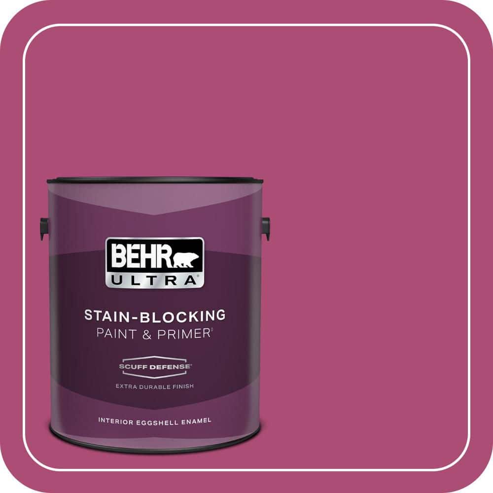 1 gal. #100B-7 Hot Pink Extra Durable Eggshell Enamel Interior Paint & Primer price history on PriceWatchPro