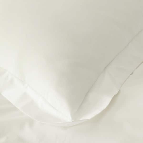 Company Cotton Cream Cotton Percale Standard Sham