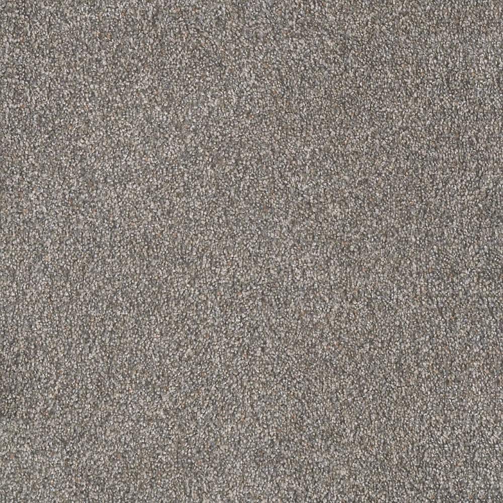 8 in. x 8 in. Texture Carpet Sample - Topaz I - Color Hideaway price history on PriceWatchPro