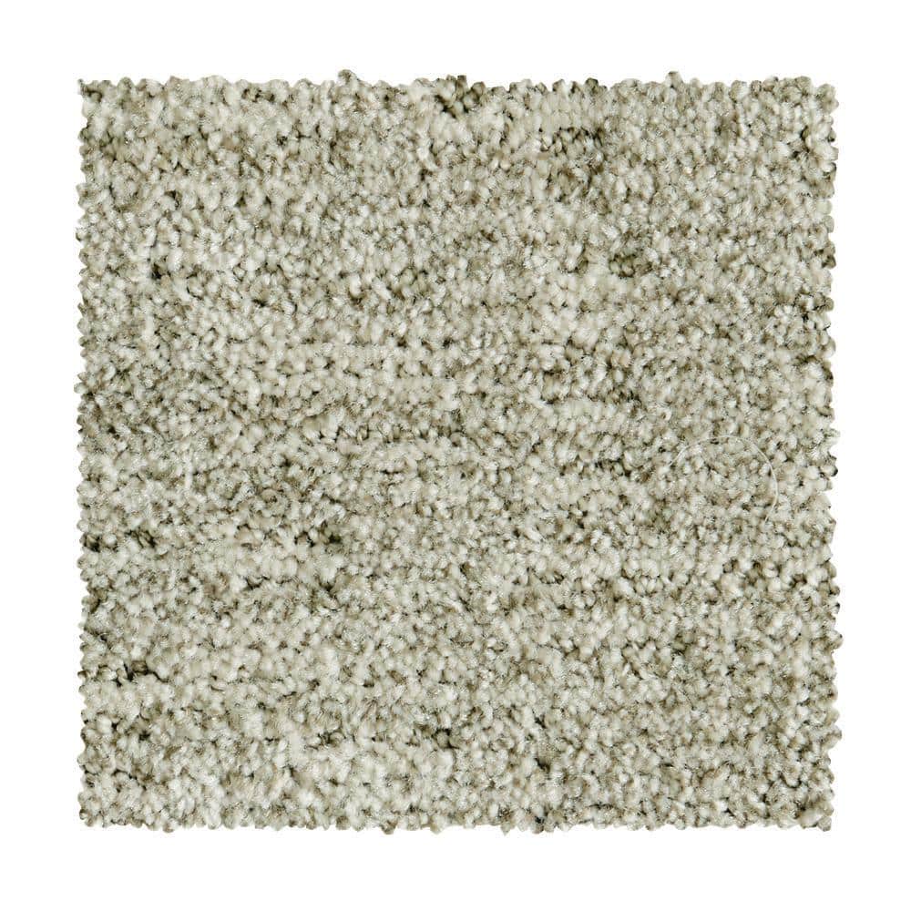 8 in. x 8 in. Pattern Carpet Sample - Corry Sound - Color North Winds price history on PriceWatchPro